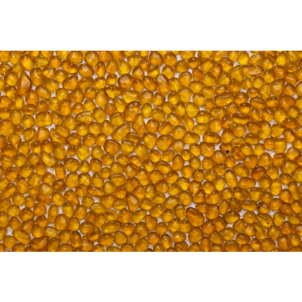 orange glass tile.JPG