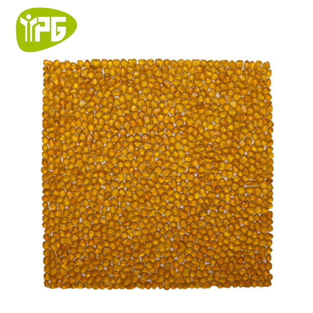 4903-orange glass mosaic.jpg