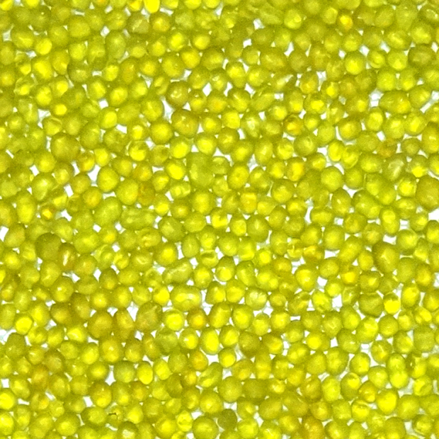 4909-yellow glass tile.jpg