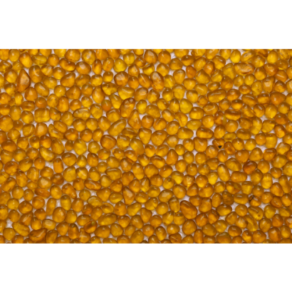 orange glass tile.JPG