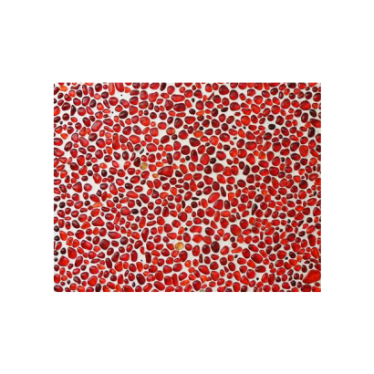 4902-red glass tile with grout.jpg 4902-red glass tile with grout.jpg